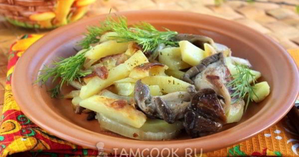 Вешенки с картошкой: фото и рецепты приготовления, как приготовить грибы вешенки с картофелем