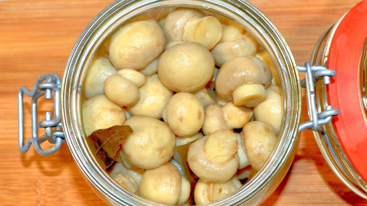 Маринованные шампиньоны быстрого приготовления в домашних условиях