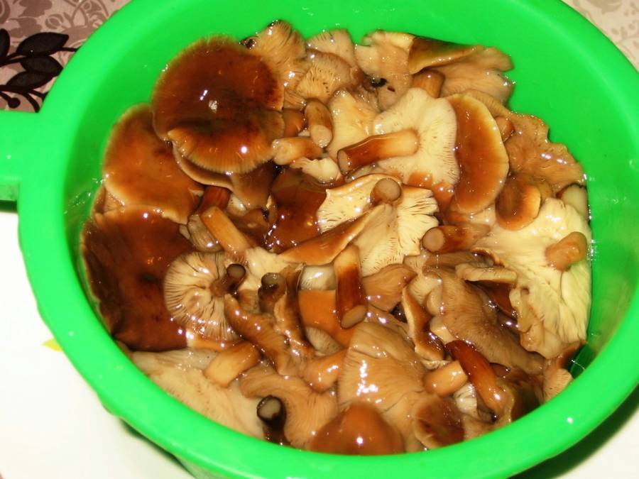 Макароны с сыром: 8 разных простых рецептов
