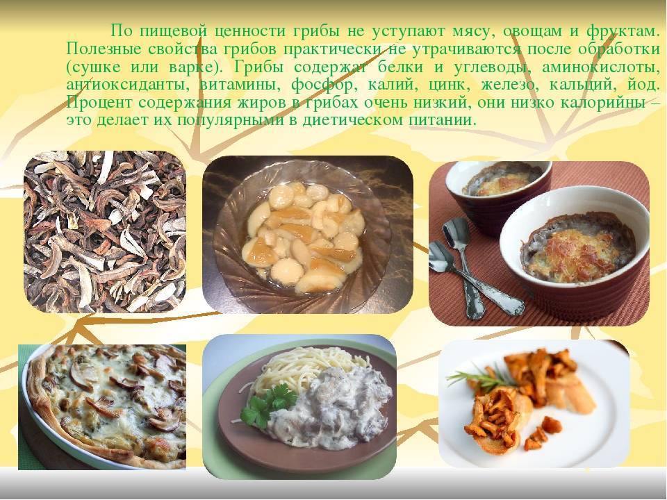 Гриб ежевик: черепитчатый, желтый, пестрый, гребенчатый, как приготовить съедобный, фото, видео
