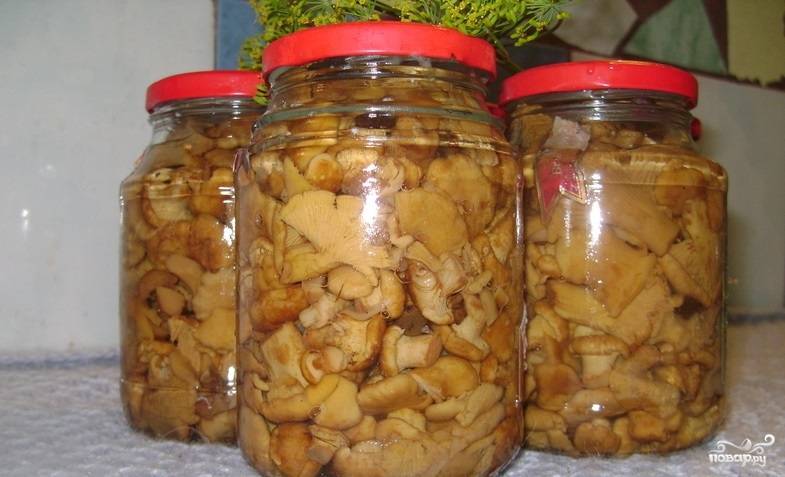 Маринованные лисички на зиму — 7 рецептов приготовления грибов лисичек