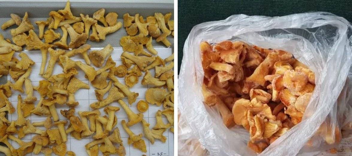 Грибы маслята рецепты приготовления. блюда с замороженных маслят