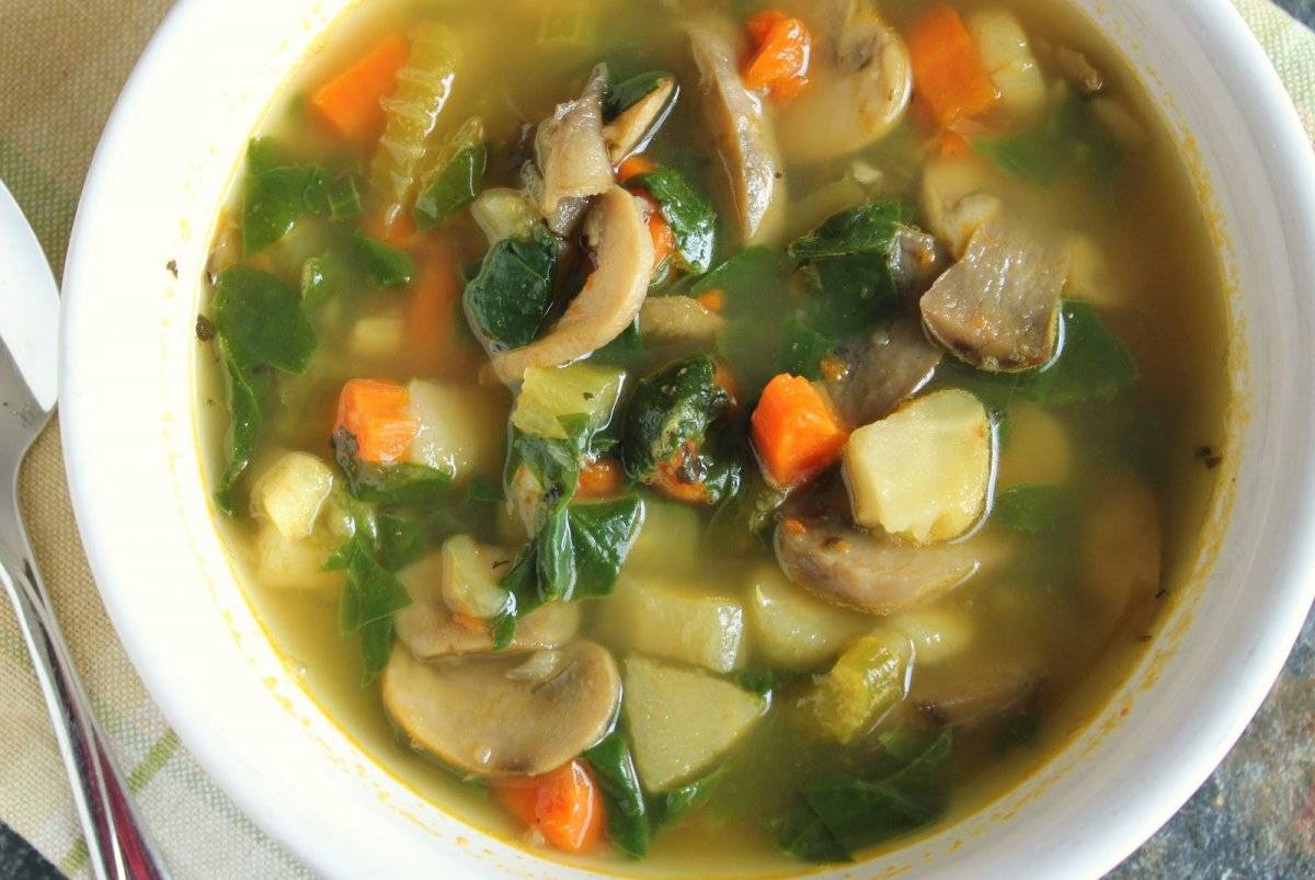 Грибной суп из шампиньонов — 5 простых рецептов вкусного грибного супа