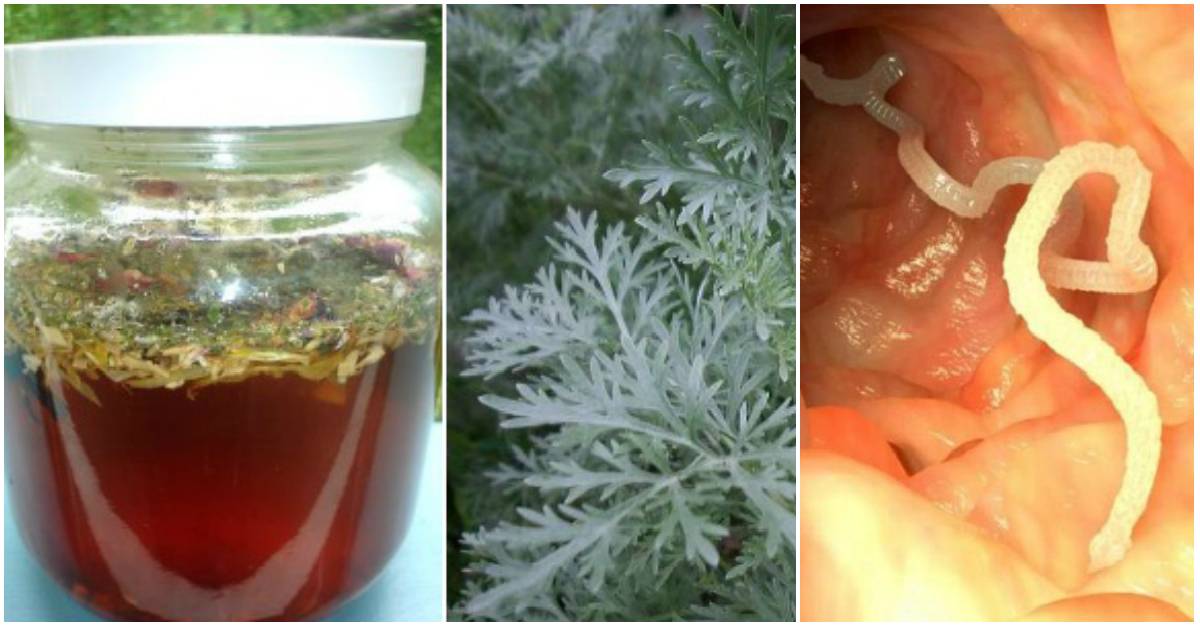 Чем опасны грибковые заболевания и как от них уберечься?