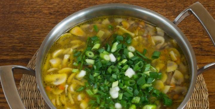 Как сварить грибной суп из свежих грибов? самые вкусные рецепты