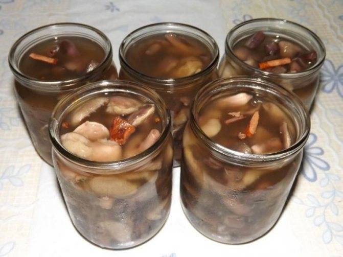 Маринованные маслята на зиму: топ-9 пошаговых рецептов